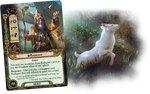 The Lord of the Rings LCG: The Fate of Wilderland Adventure Pack
